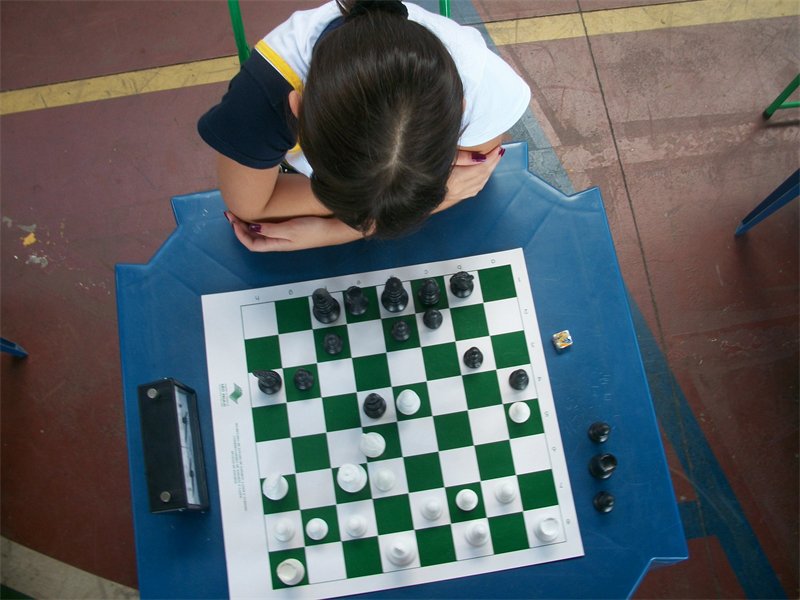 IV Torneio de Xadrez Multi Chess contará com a participação de mais de 200  alunos do 1º Ciclo